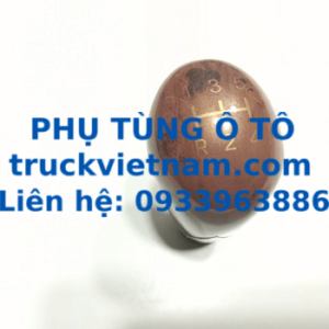 1105917300005-foton-ollin-truckvietnam-0933963886