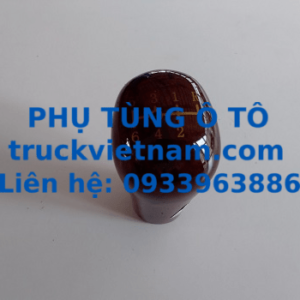 1110817280008-foton-auman-truckvietnam-0933963886