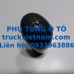 L0173020012A0-foton-ollin-truckvietnam-0933963886